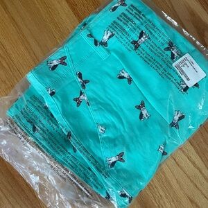 Plugg Men’s Teal Frenchie shorts NWT